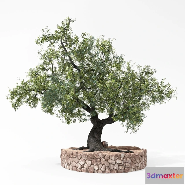 1607548 - decoration - Olea 3D Max