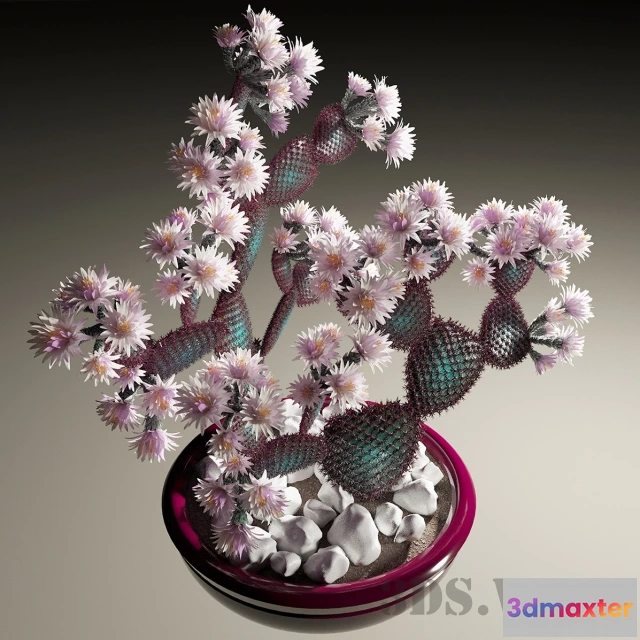 1607566 - decoration - Cactus 3D Max