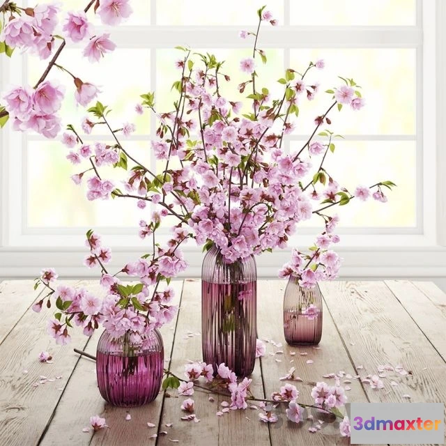 1607568 - decoration - Cherry flowers 3D Max