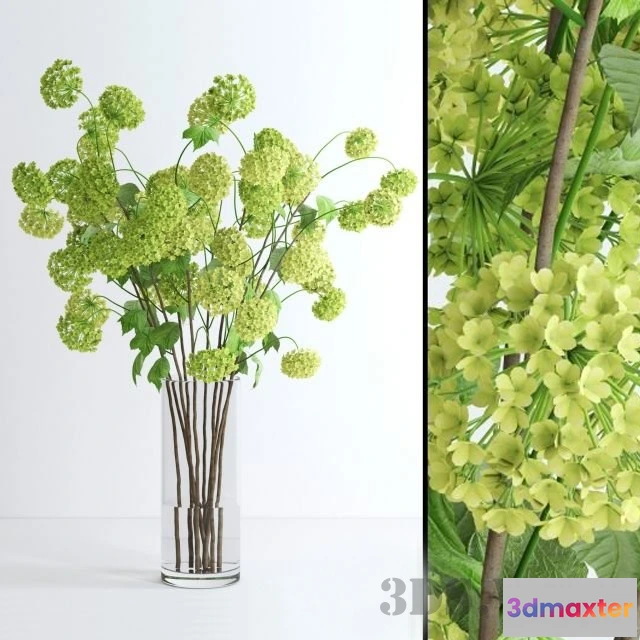 1607580 - decoration - Viburnum branches 3D Max