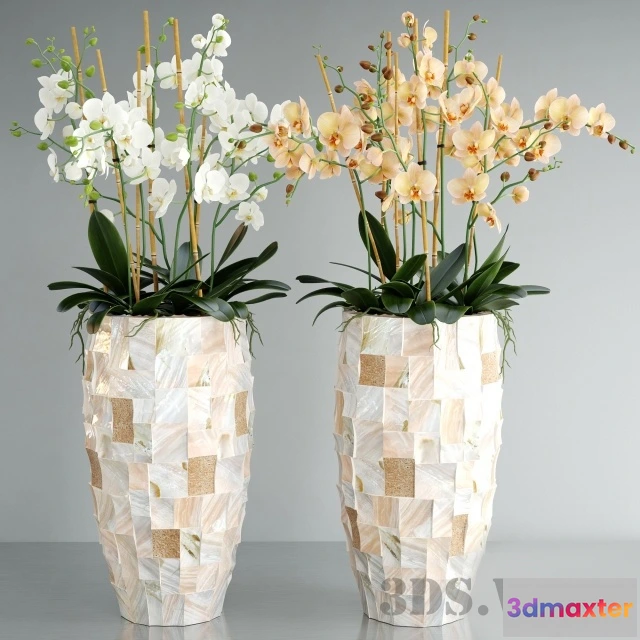 1607592 - decoration - Orchid pearl 3D Max