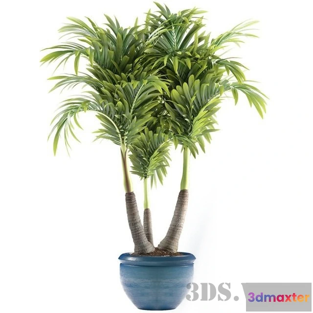 1607610 - decoration - PLANTS 148 3D Max
