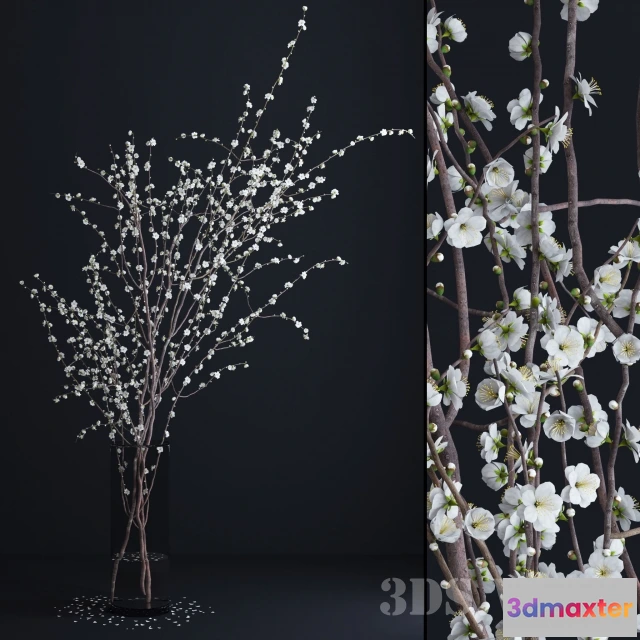 1607624 - decoration - Branches 3D Max