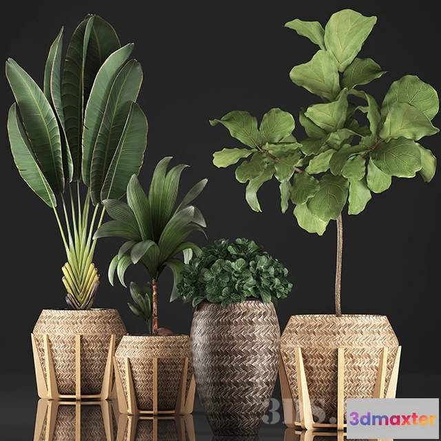 1607654 - decoration - SET PLANT POT 17072019 3D Max