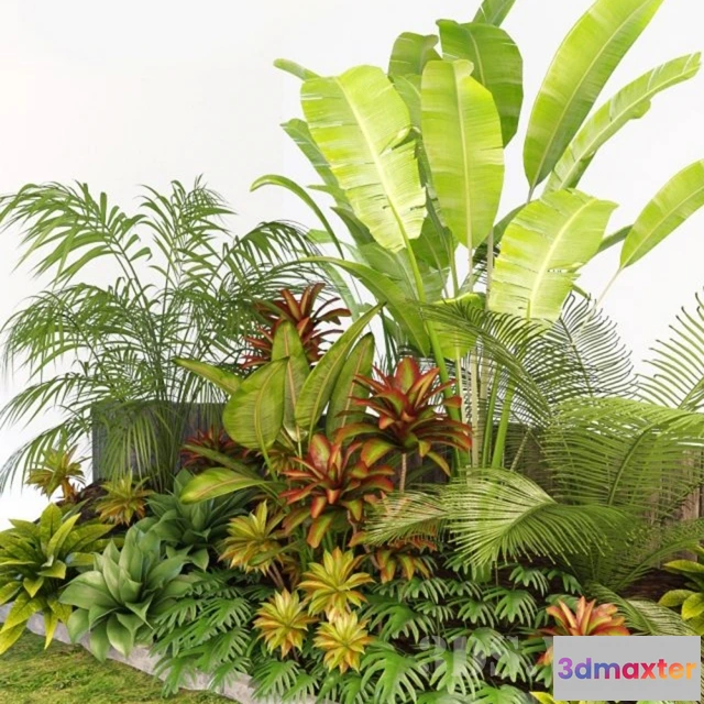 1607662 - decoration - Palm Composition 3D Max