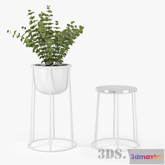 1607668 - decoration - Plant WIRE POT 3D Max