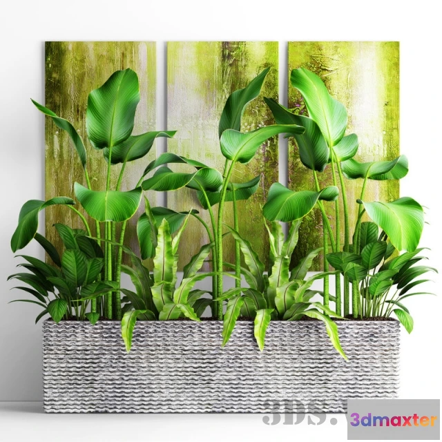 1607672 - decoration - Plant set 3D Max