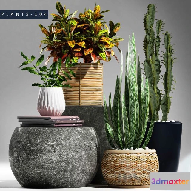 1607686 - decoration - Plants 3D Max