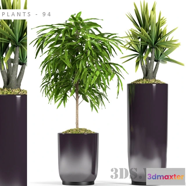 1607698 - decoration - PLANTS 94 3D Max