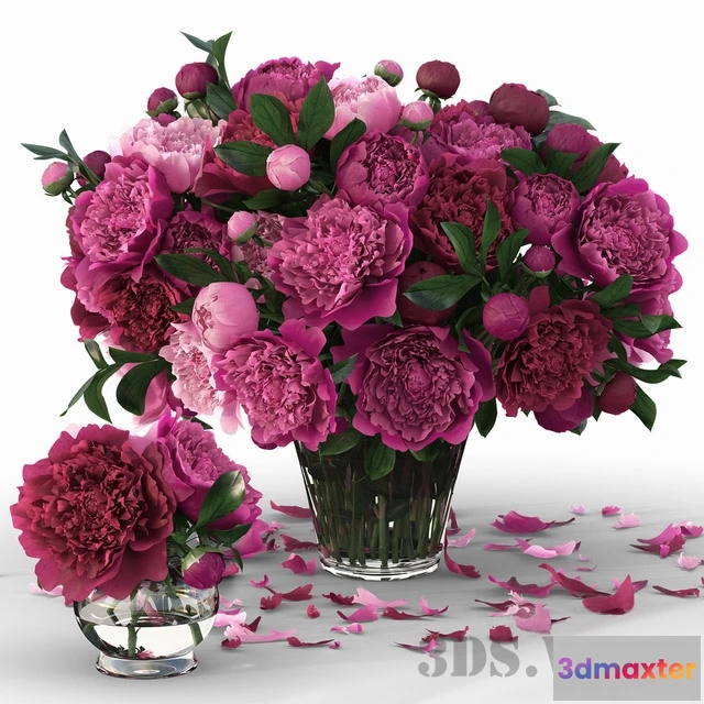 1607702 - decoration - Peony flower 3D Max