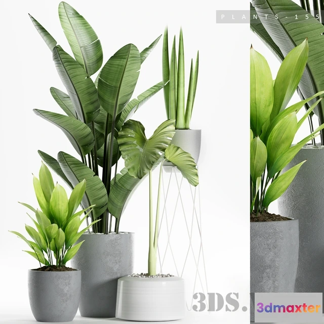 1607704 - decoration - PLANTS 150 3D Max