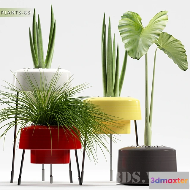 1607712 - decoration - PLANTS 3D Max