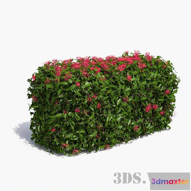1607724 - decoration - Lawn from Ixor 3D Max
