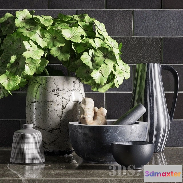 1607732 - decoration - Kitchen decorative set with a plant 3D Max
