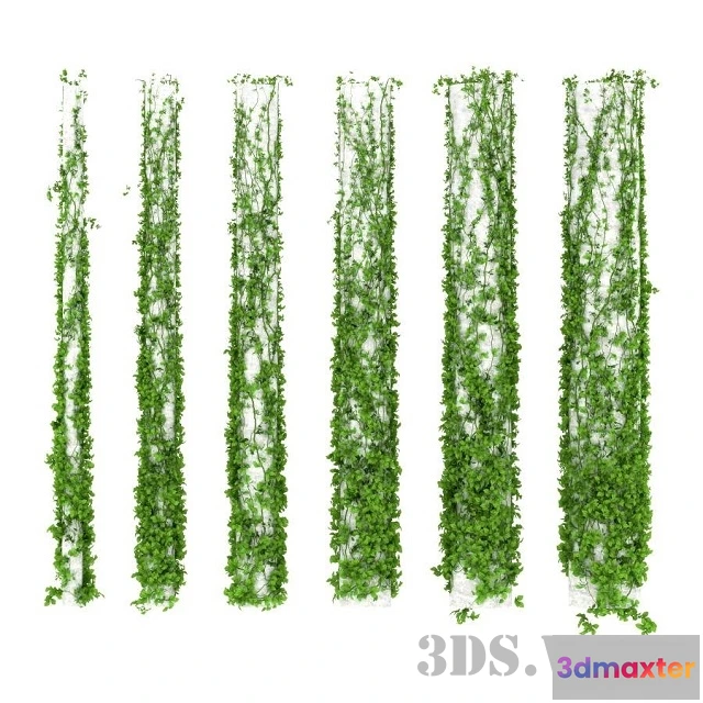 1607738 - decoration - Plant around columns (6 options) 3D Max