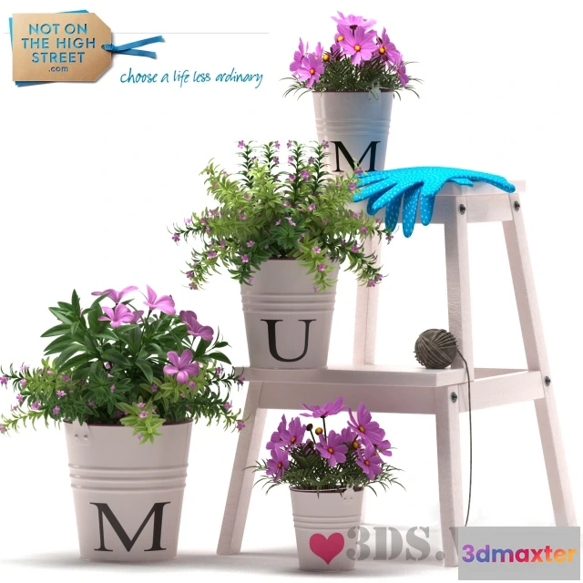 1607776 - decoration - Beautiful flowers in buckets 3D Max
