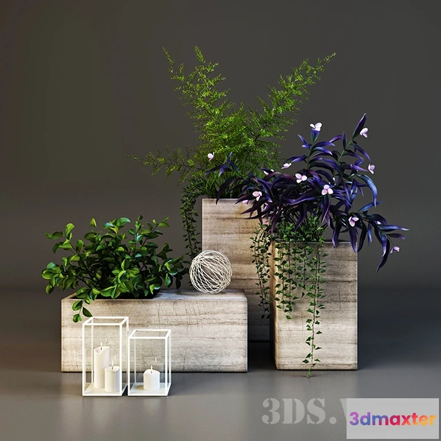 1607800 - decoration - Decorative set with plants 3D Max