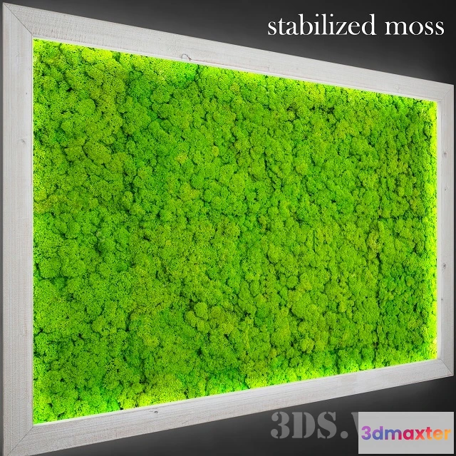 1607852 - decoration - Stabilized moss for decoration 3D Max