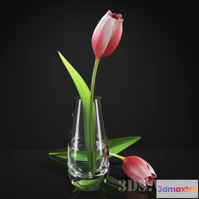 1607864 - decoration - Beautiful flowers for decoration 3D Max