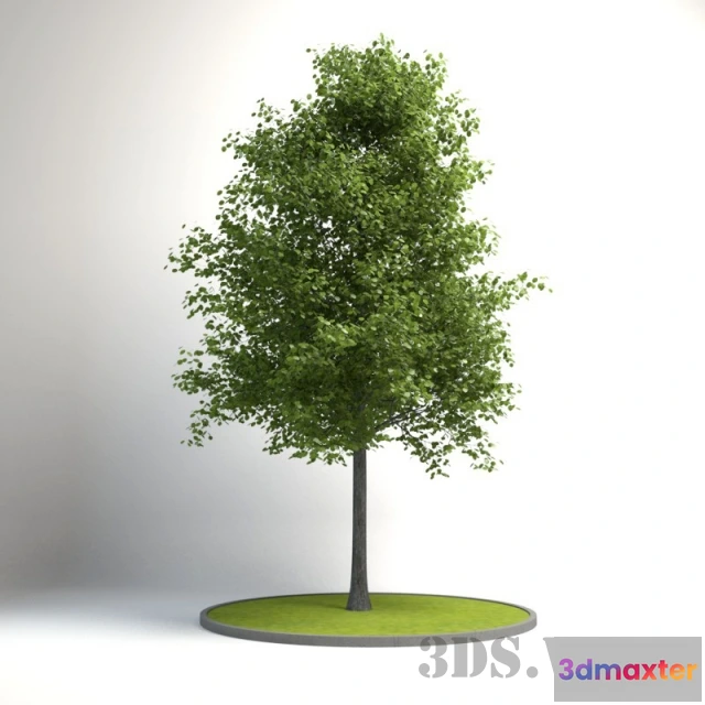 1607882 - decoration - Decorative tree for the exterior 3D Max