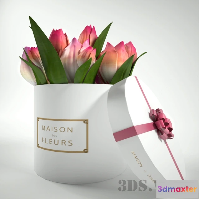 1607902 - decoration - Tulips in a box 3D Max