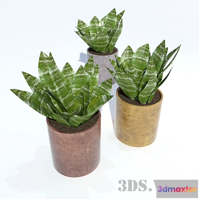 1607912 - decoration - Potted weed 3D Max