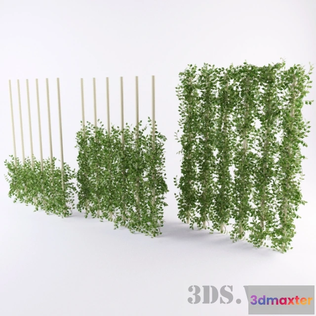 1607920 - decoration - Decorative beautiful ivy 3D Max
