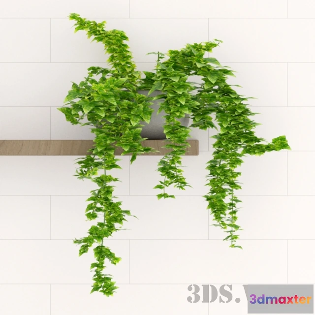 1607928 - decoration - Home flowers heder 3D Max