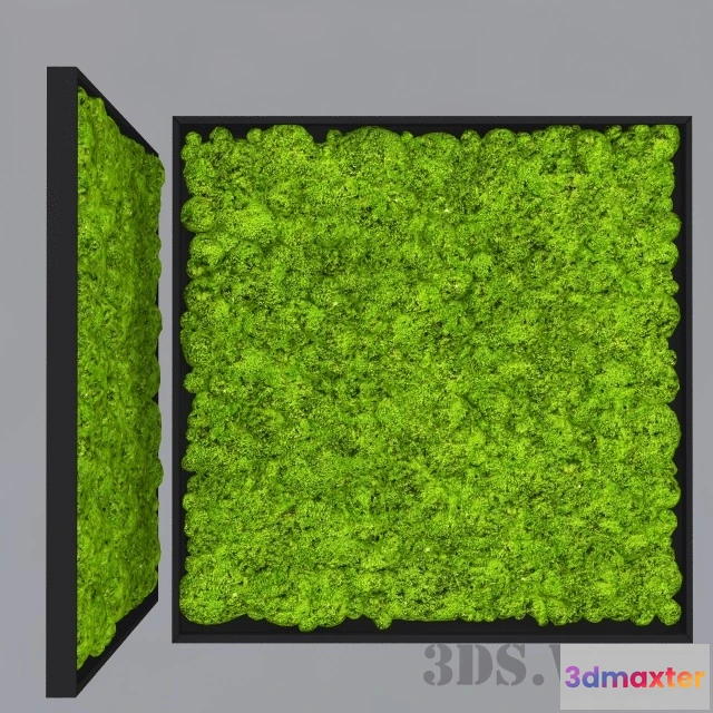 1607938 - decoration - Decorative moss for interior 3D Max