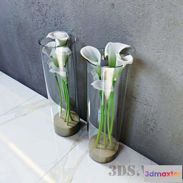 1607940 - decoration - Calla flowers in flasks 3D Max