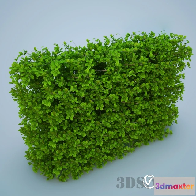 1607948 - decoration - Green Grass - Lawn Bush 3D Max