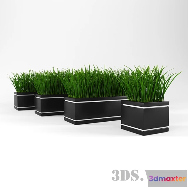 1607956 - decoration - Ornamental grass 3D Max