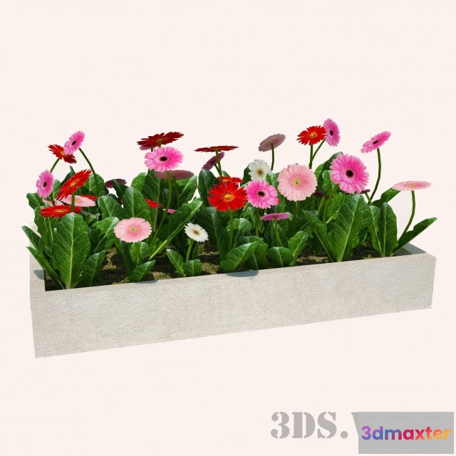 1607962 - decoration - Beautiful flowers for the lawn 3D Max