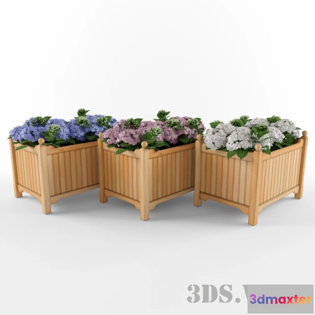 1607976 - decoration - Beautiful multicolored flowers for decoration 3D Max