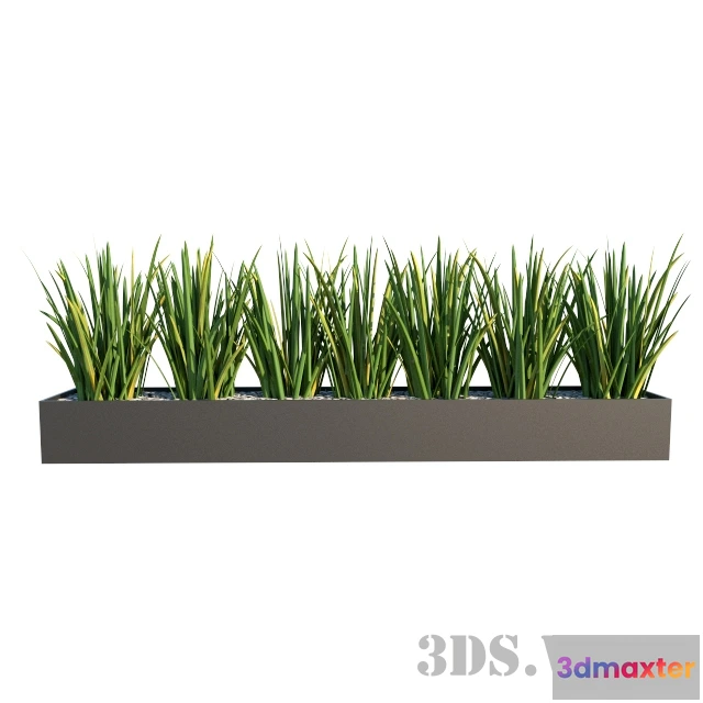 1607980 - decoration - Beautiful indoor plants 3D Max