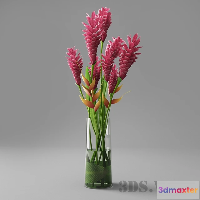 1607988 - decoration - Red ginger in a vase 3D Max