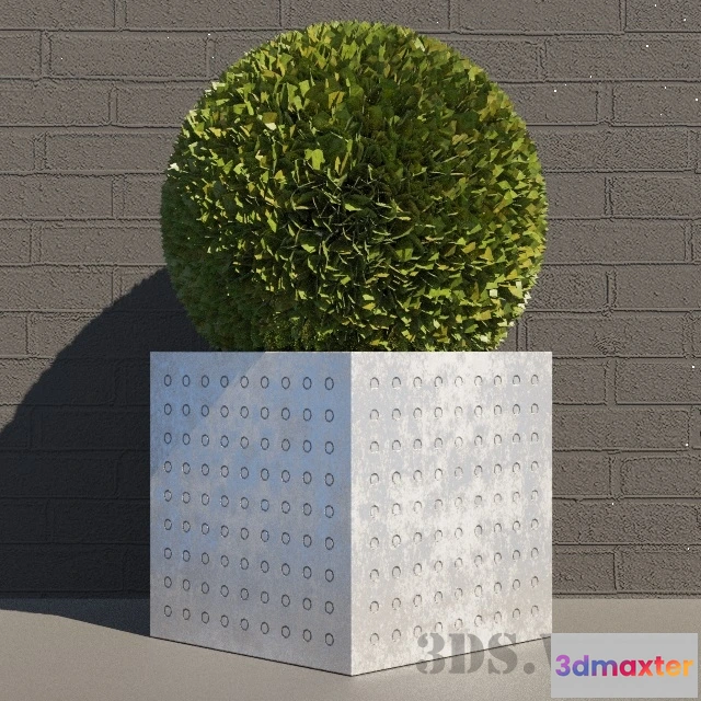 1607990 - decoration - Round bush - lawn 3D Max