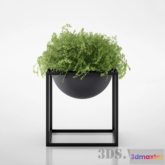 1608002 - decoration - Beautiful plant - bush 3D Max
