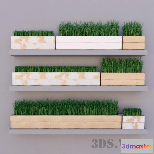 1608040 - decoration - Plain grass - lawn 3D Max