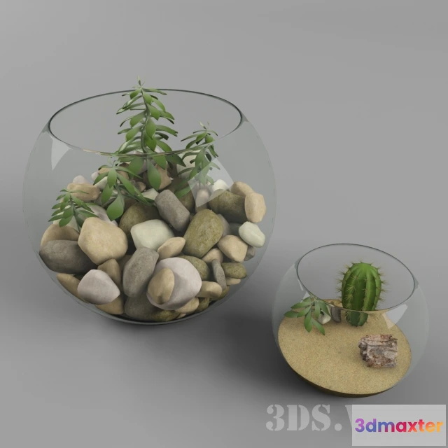 1608050 - decoration - Beautiful florariums 3D Max