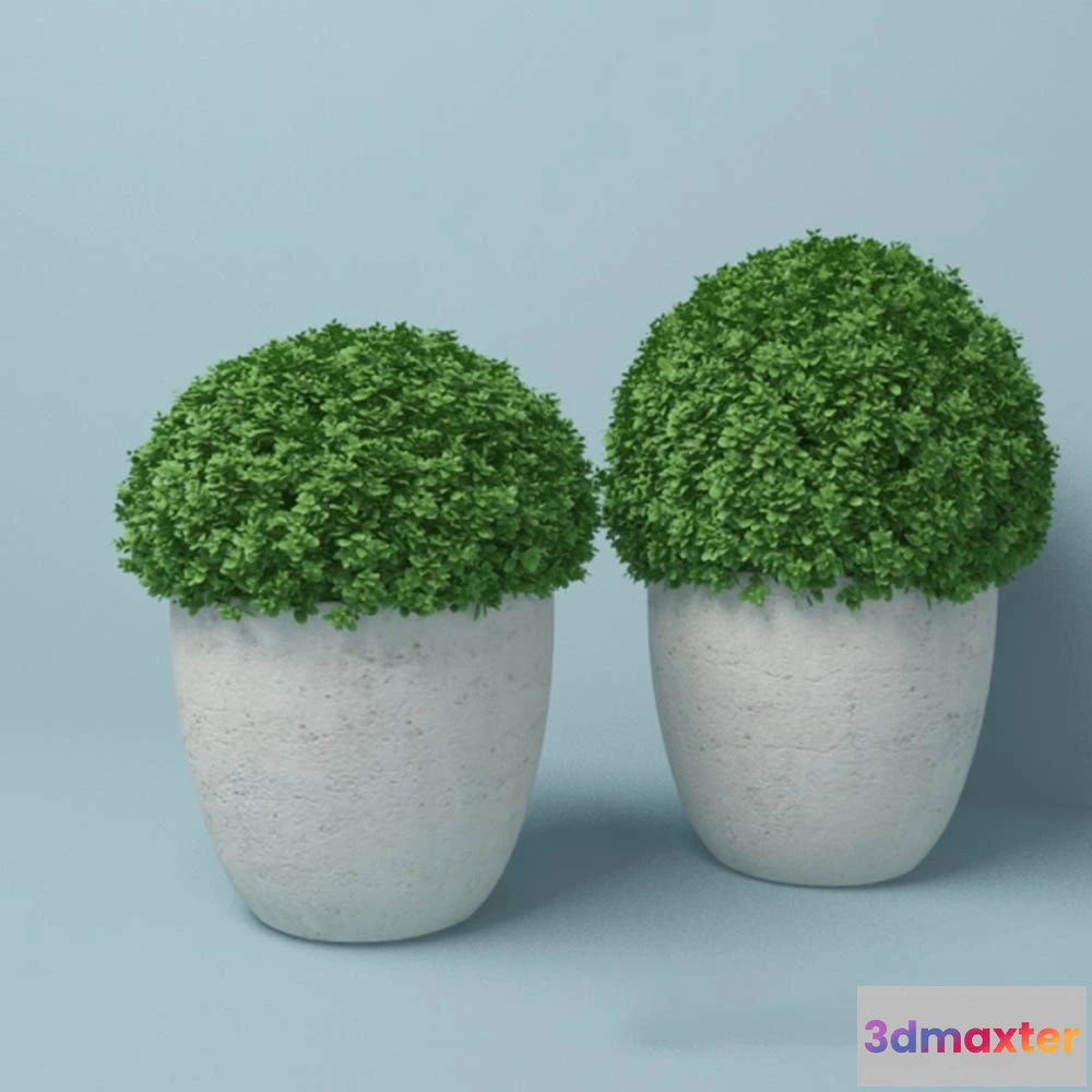 1608070 - decoration - Round plant in pots 3D Max