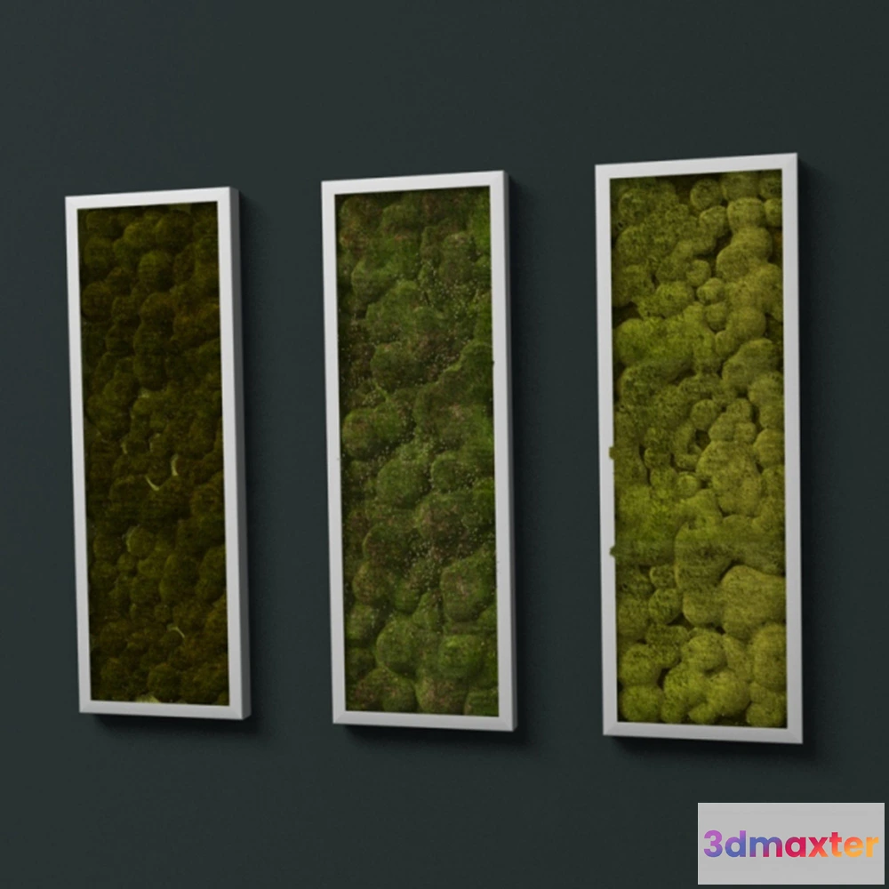 1608072 - decoration - Stabilized moss - FitostenaPhytowall 3D Max