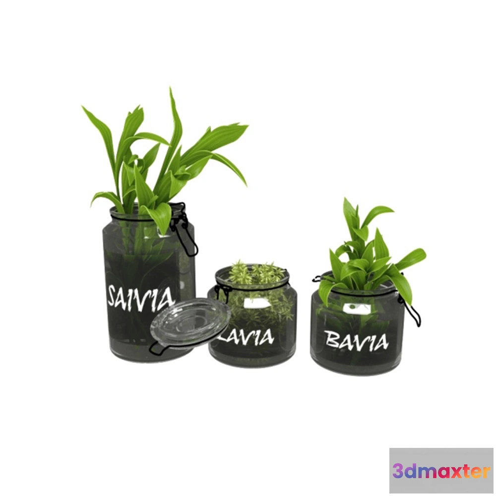 1608076 - decoration - Plants in jars 3D Max