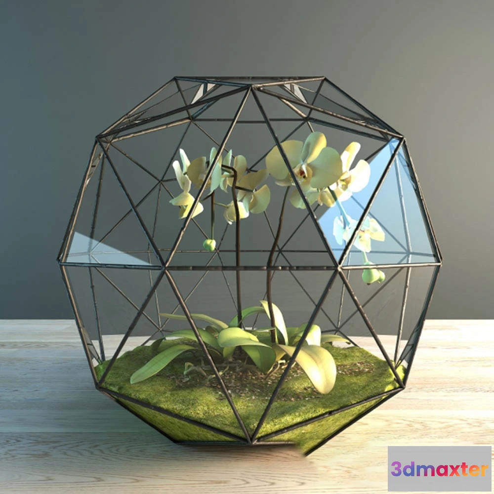 1608078 - decoration - Beautiful flower 3D Max