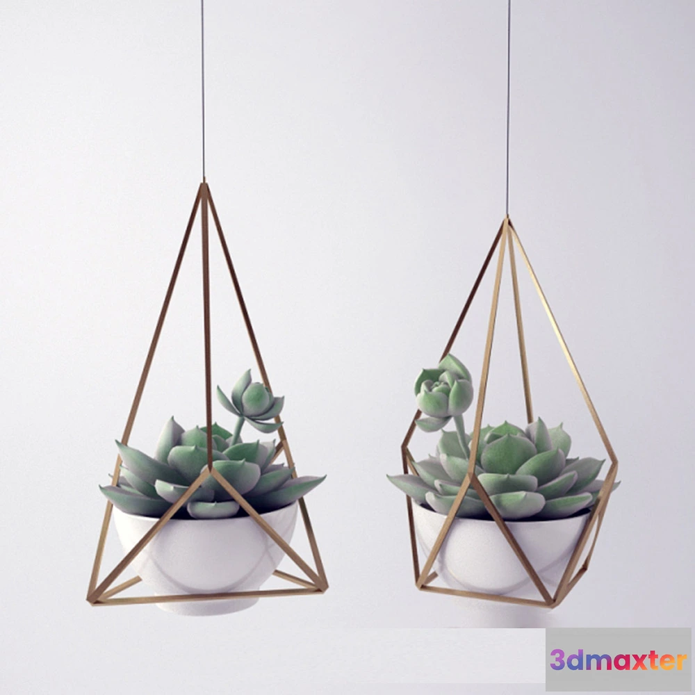 1608092 - decoration - Sempervivum 3D Max