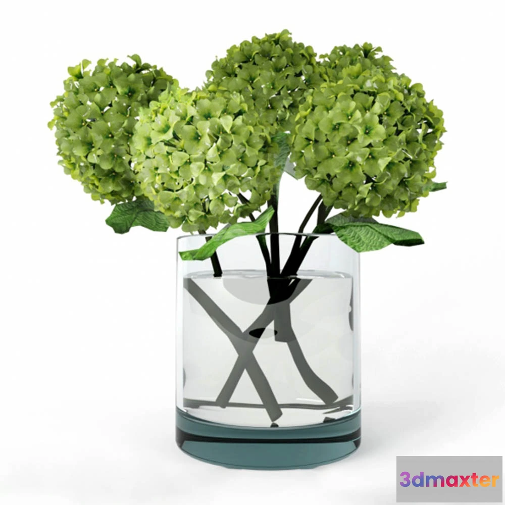 1608096 - decoration - Hydrangea 3D Max