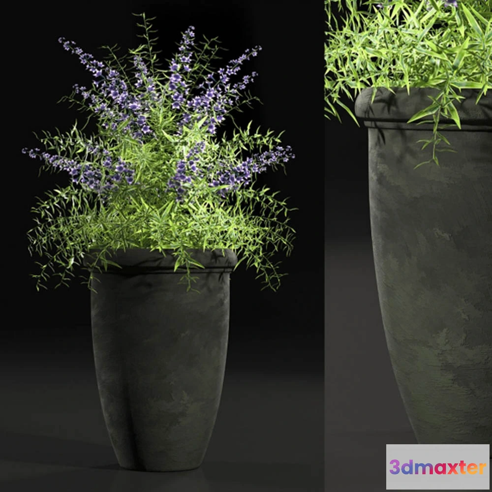 1608100 - decoration - Original flower 3D Max