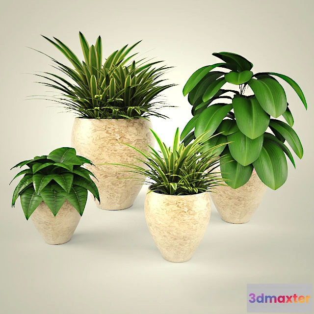 1608104 - decoration - Beautiful flower -plants 3D Max