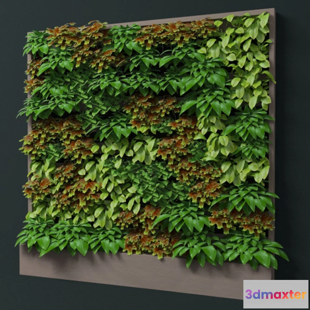 1608120 - decoration - Fitostena with leaves 3D Max