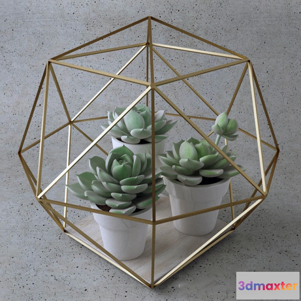 1608122 - decoration - Sempervivum 3D Max